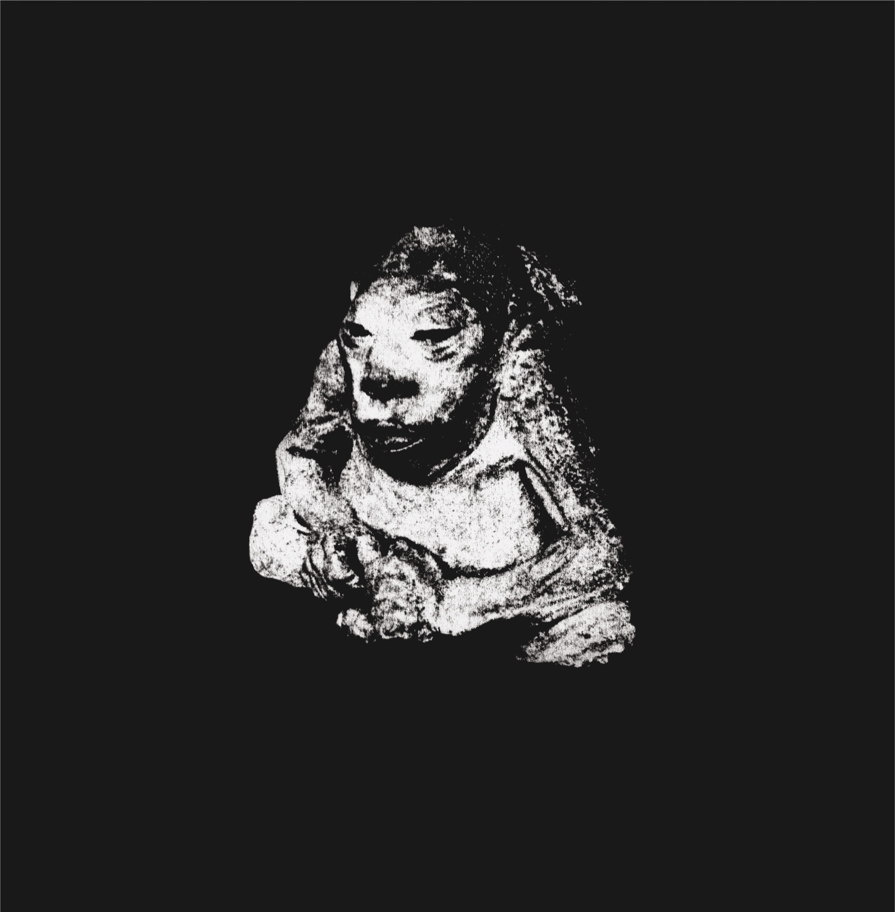 Capricorni Pneumatici Tesco vinyl cover