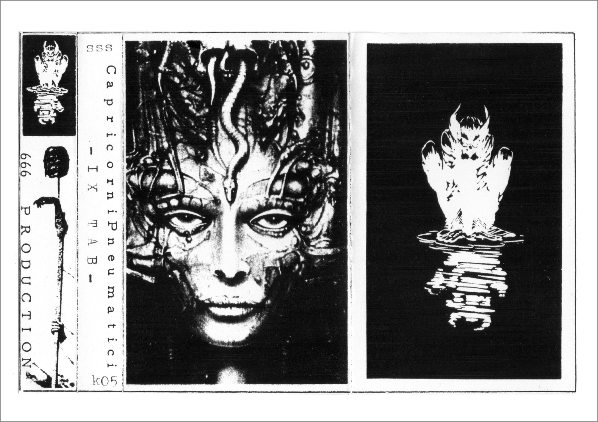 capricorni pneumatici ix-tab k7 cover