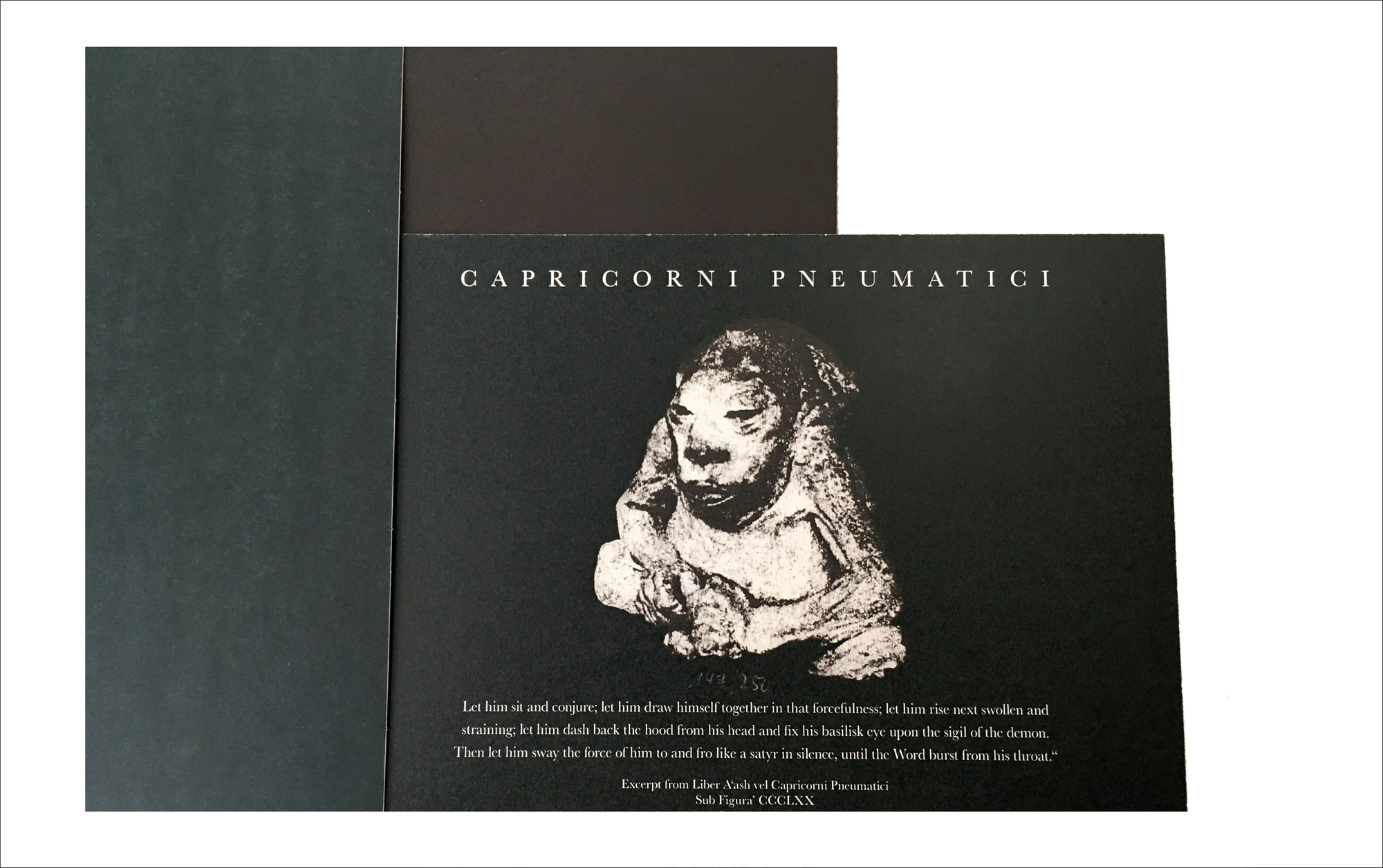 capricorni pneumatici Tesco vinyl insert